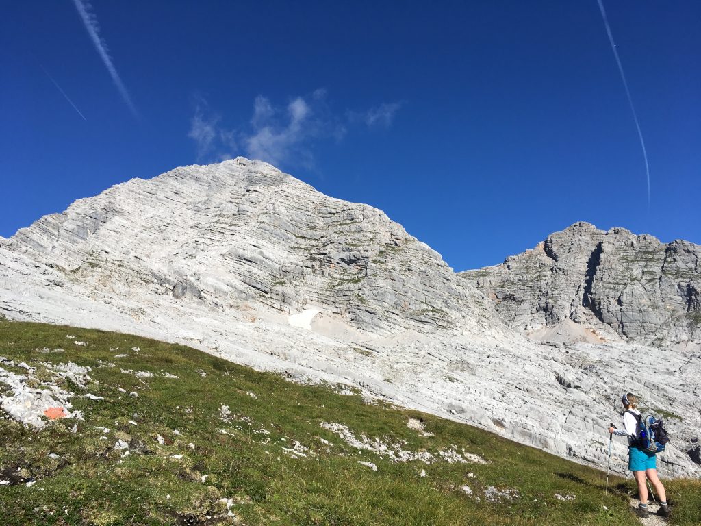 Aufstieg zum Birnhorn 2.634m