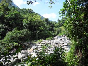 Wilde Felsen am Rio Buritaca