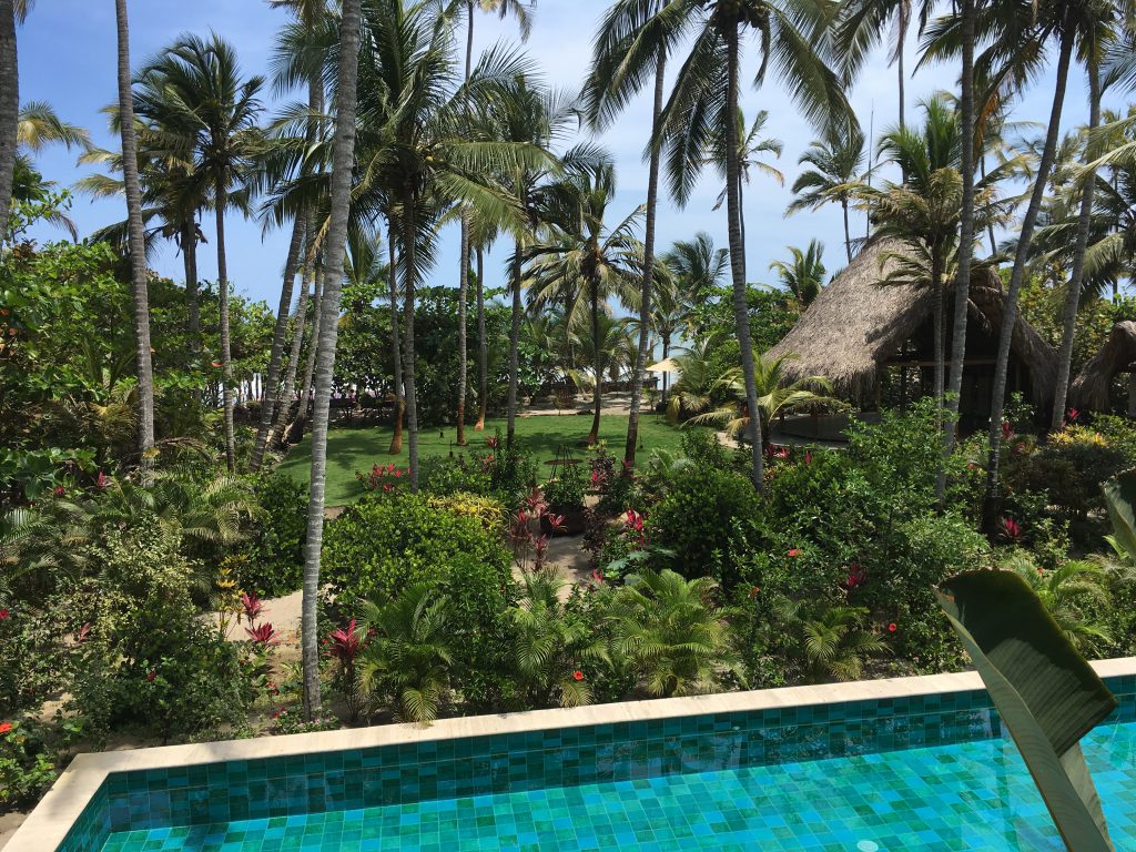 Am Pool unter Palmen: Cayena Beach Villa