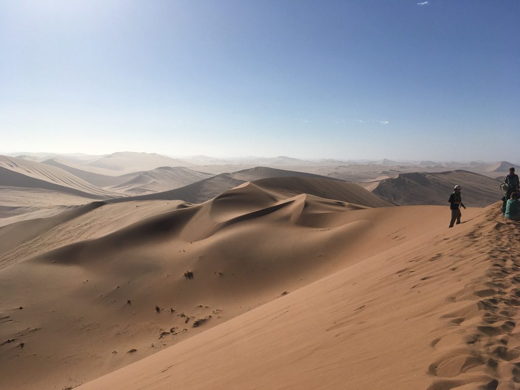 In der Namib Wüste: Big-Daddy-Düne