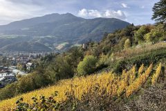 Buntes Brixen