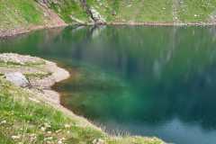 Der Grünsee macht seinem Namen alle Ehre