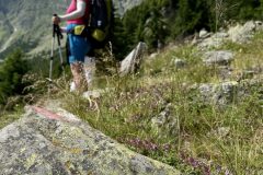 Auf der Hohen Wiege 1.809m