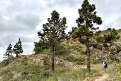 Abwechslungsreicher Wanderweg bei Las Vegas