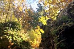 Herbststimmung im Märchenwald