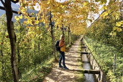 Immer am Wasser entlang - Algunder Waalweg