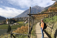 Immer wieder tolle Aussichten am Algunder Waalweg