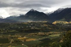 Tolle Stimmung am Wunderlehof