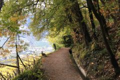 Auf dem Algunder Waalweg