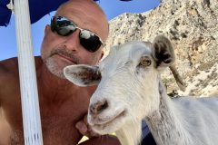 Neue beste Freunde