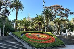 Parque García Sanabria in Santa Cruz