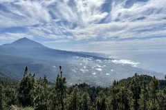Rückblick zum Teide auf der Abfahrt in Richtung La Laguna