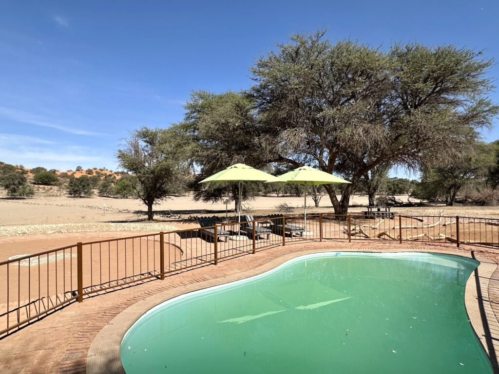 Pool der Kalahari Game Lodge