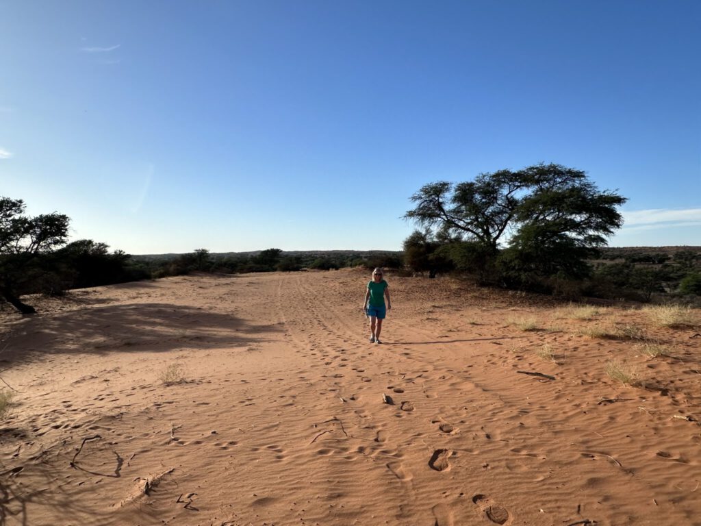 Früh morgens in den Dünen hinter Kalahari Farmstall