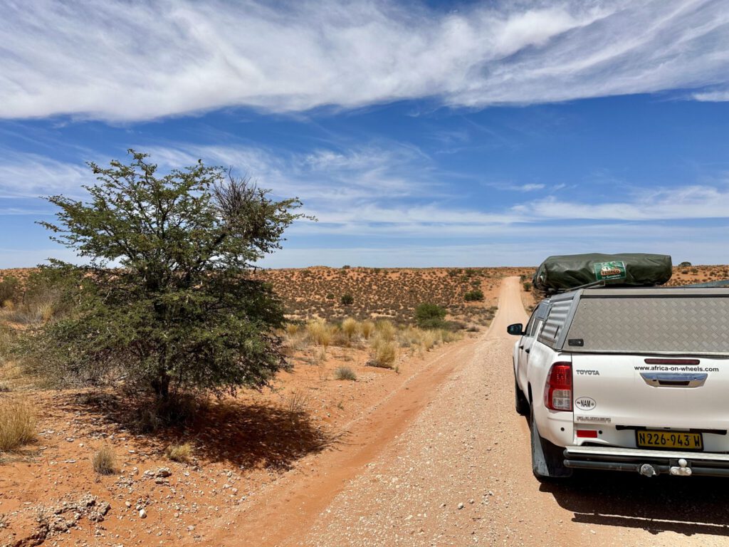 Nochmals Auf-und-Ab durch die roten Dünen der Kalahari
