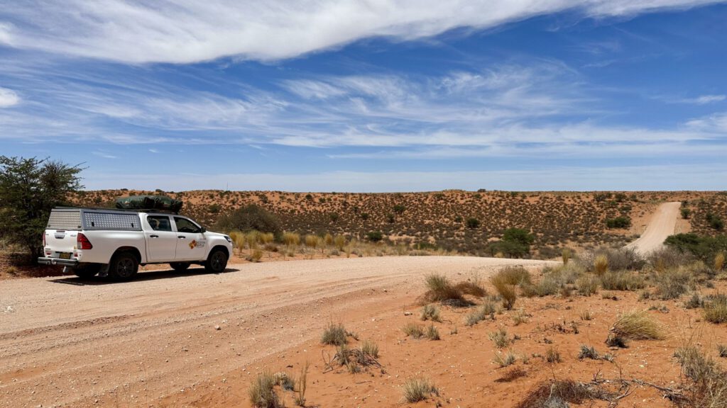 Traumstraße auf dem Weg durch die Kalahari