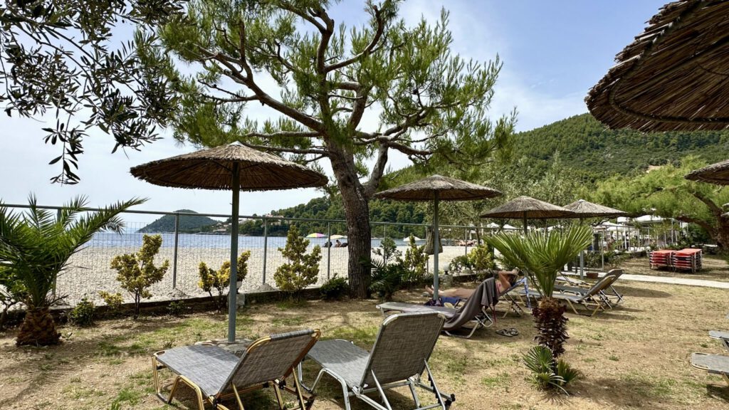 Schattiger Garten mit Meerblick im "Pelagos Beachfront"