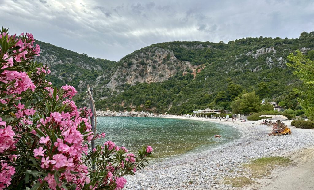 Dicht bewachsene Steilküste oberhalb vom Limnonari Strand