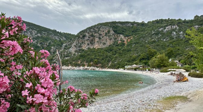 Dicht bewachsene Steilküste oberhalb vom Limnonari Strand