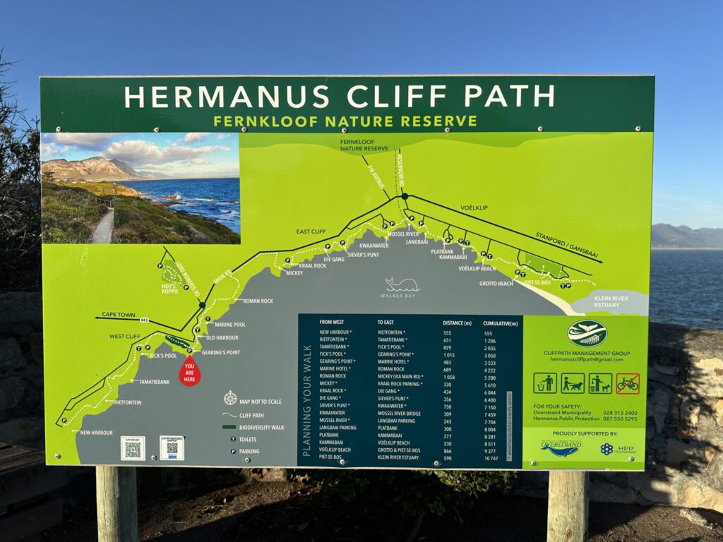 Hermanus Cliff Path