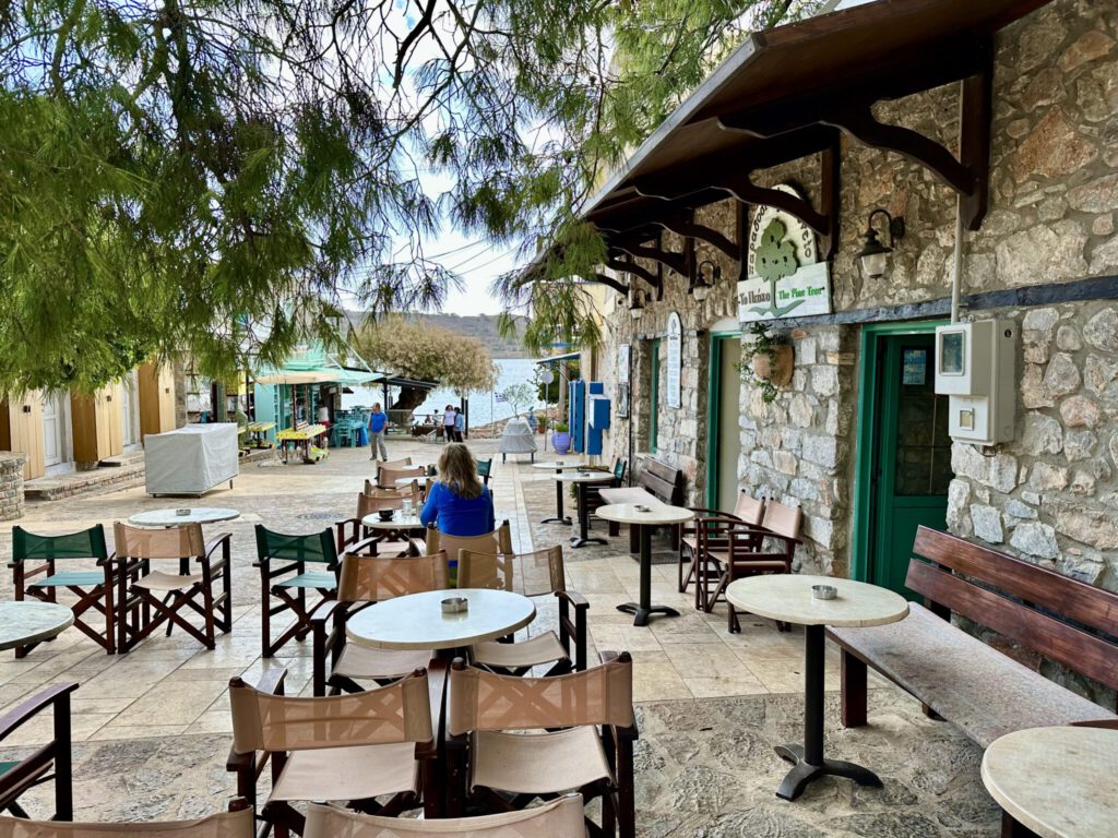 The Pine Tree in Plaka