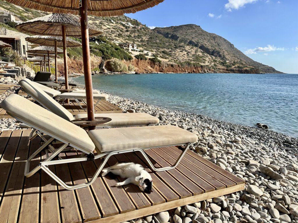 Relax…!