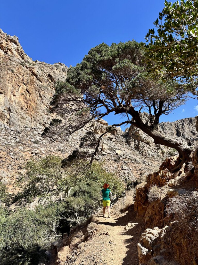 In der Zakros Schlucht