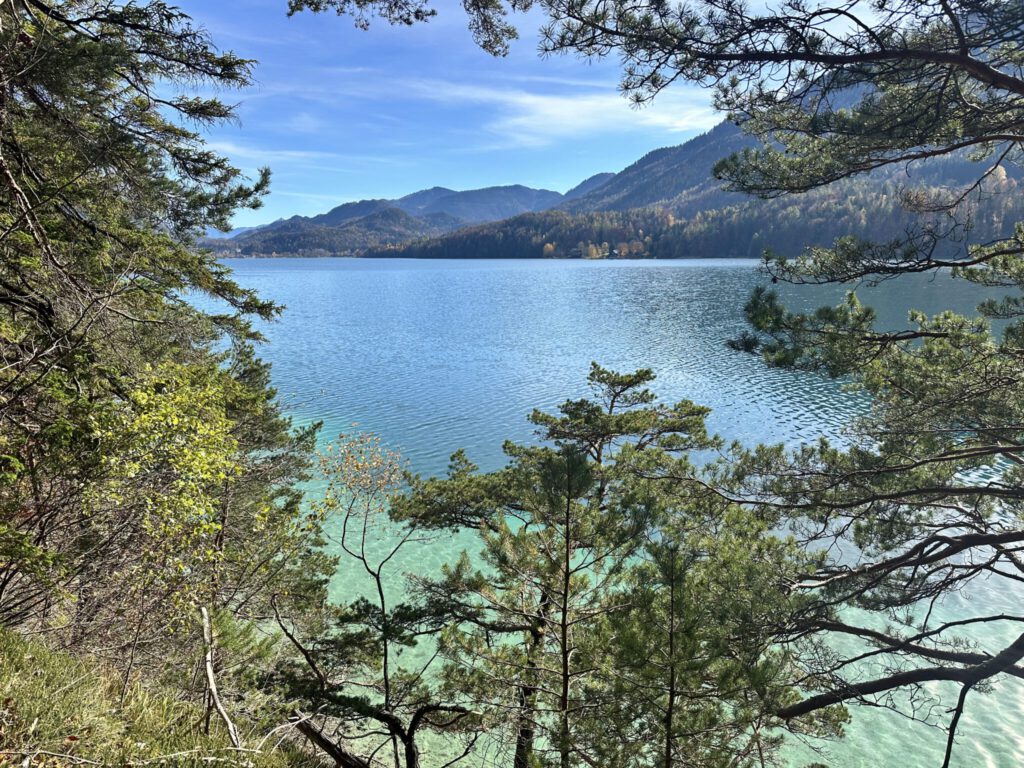 Karibische Ausblicke am Fuschlsee