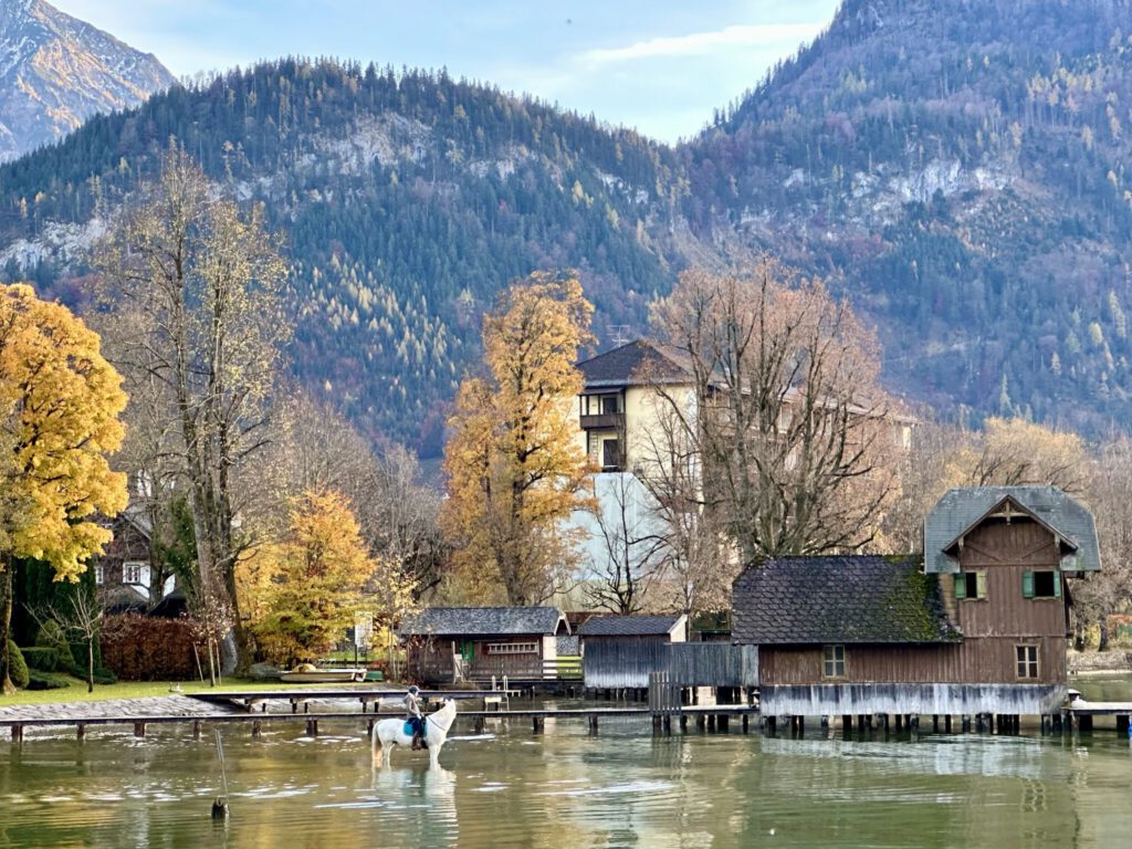 Badendes Pferd, im Hintergrund die Ruine des Grandhotels