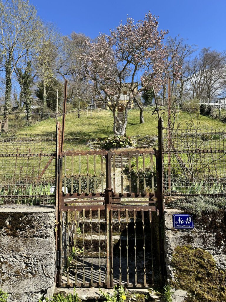 Auf dem Philosophenweg