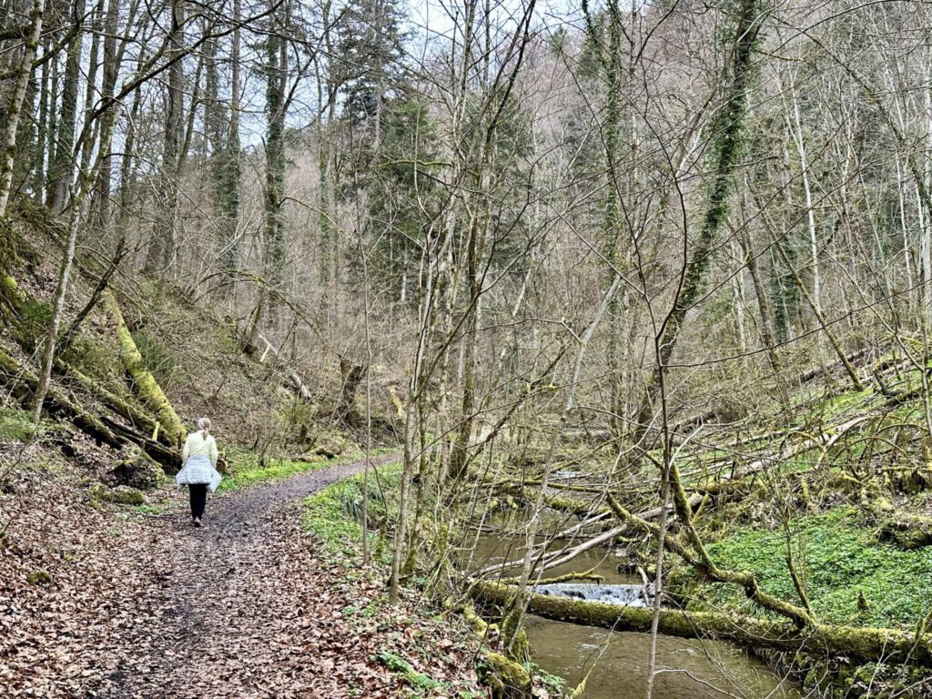 Wanderweg im Schmalegger und Rinkenburger Tobel