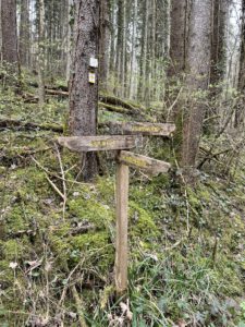 Alte Wegweiser im Schmalegger Tobel
