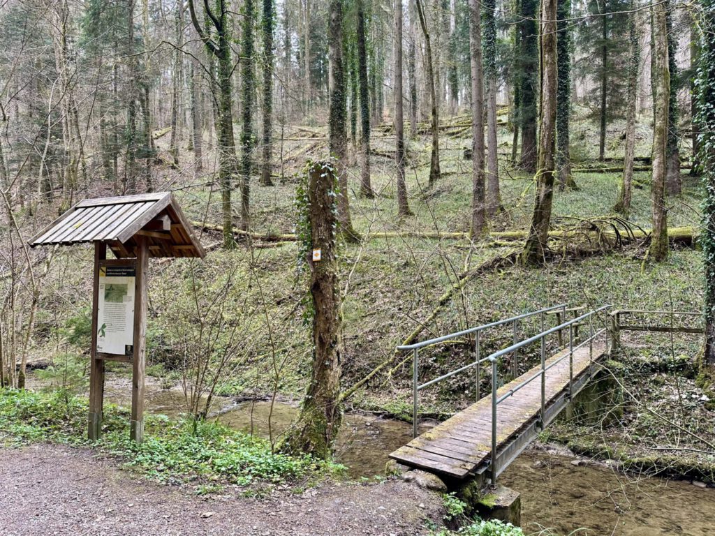 Auf dem Wanderweg im Schmalegger Tobel