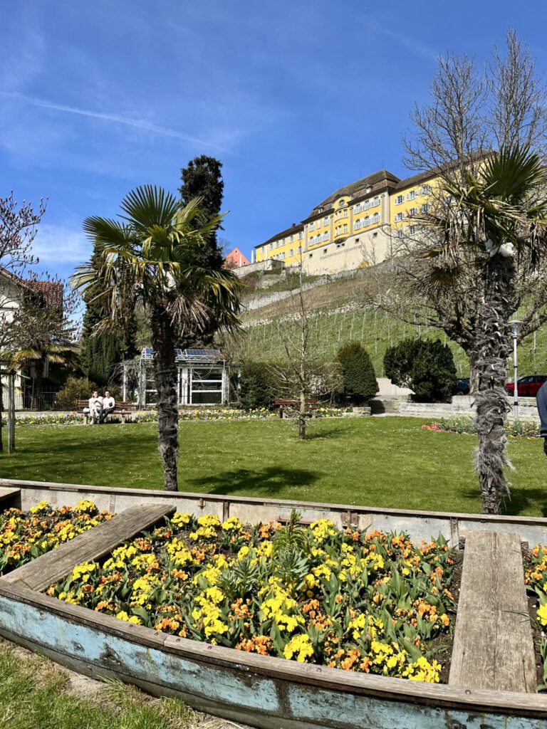 Staatsweingut Meersburg