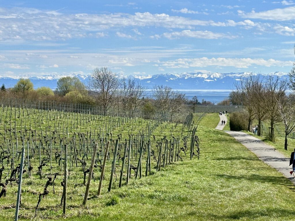 Aussichtsreicher Höhenweg zwischen Meersburg und Hagnau