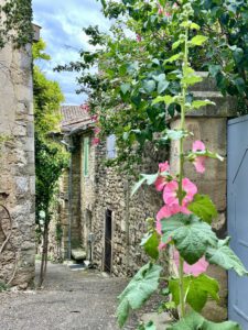 Erste Eindrücke in Grignan