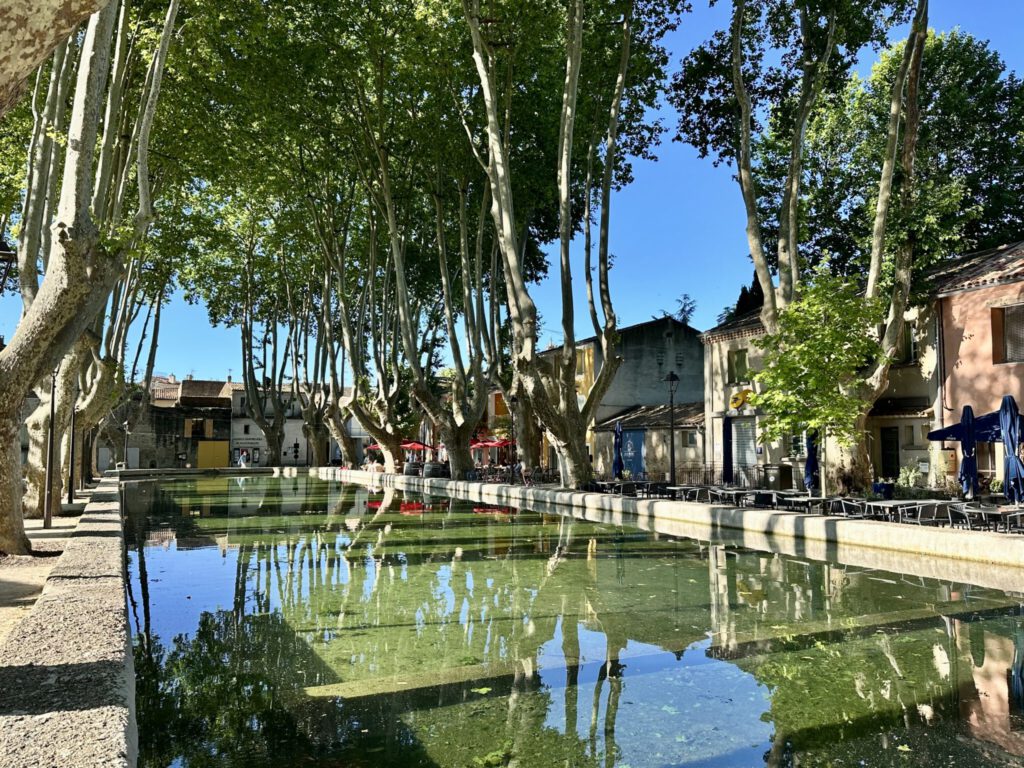 Bassin de l'étang in Cucuron