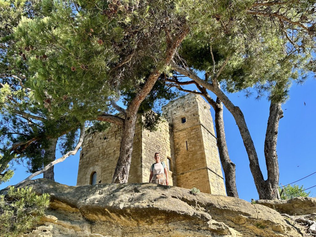 Donjon Saint-Michel von Cucuron