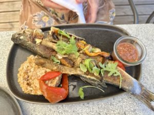 Ausgezeichneter Fisch im Restaurant Les Terrasses d’Ansouis