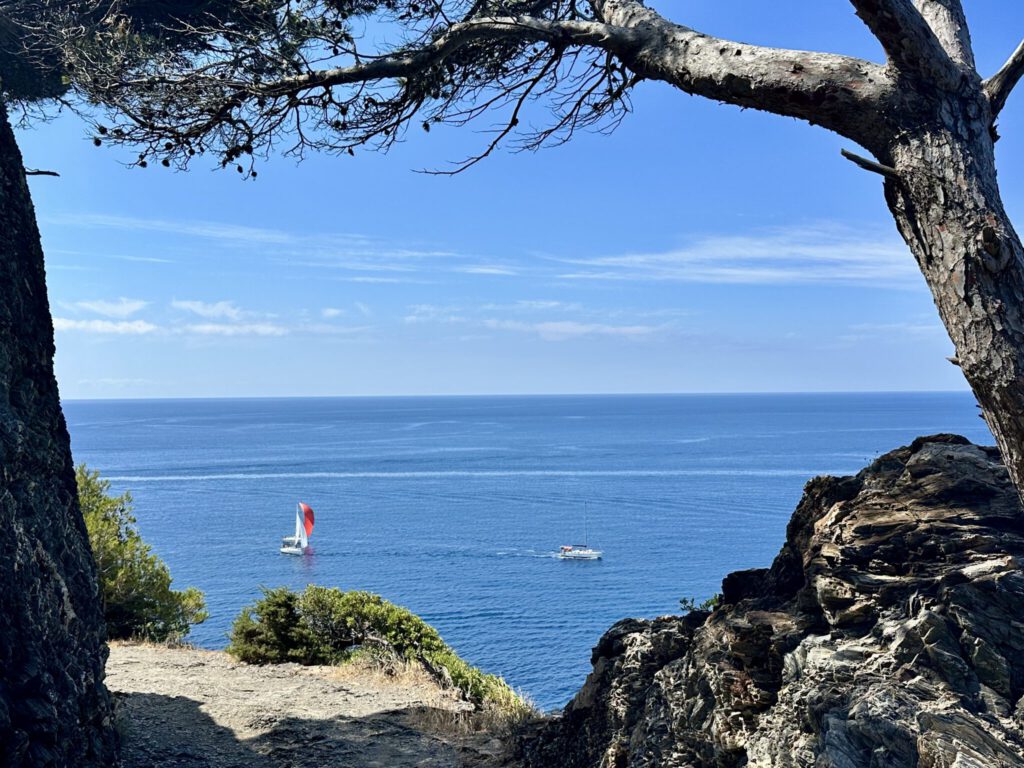 Immer wieder herrliche Sicht auf‘s türkise Meer der Côte d‘Azur