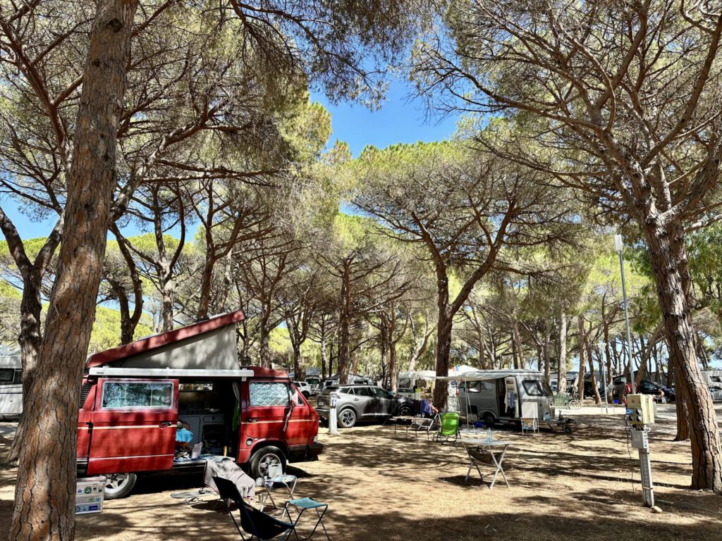 Im Pinienhain gelegen: Unser Stellplatz im Camping Le Pansard