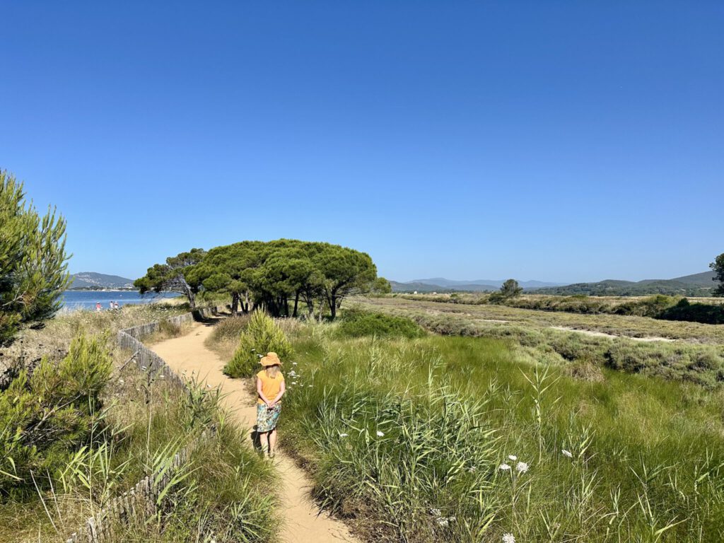 Besonders schön am Morgen - auf dem Salinen-Wanderweg