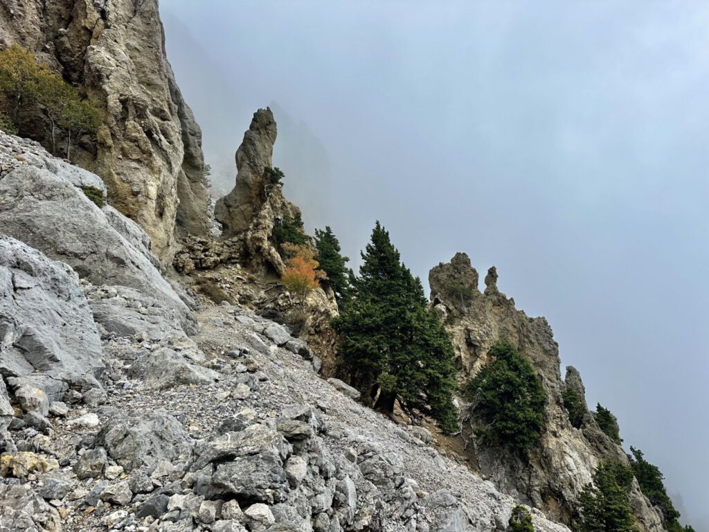 Wilde Formationen, mystisch im Nebel