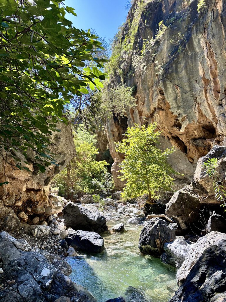Agia Irini