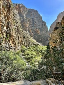 Viel Grün inmitten senkrechter Felsen - Aradena-Schlucht